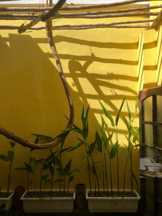 Leranda Homestay Хюе Екстер'єр фото