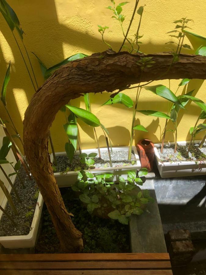 Leranda Homestay Хюе Екстер'єр фото
