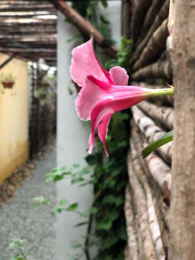 Leranda Homestay Хюе Екстер'єр фото